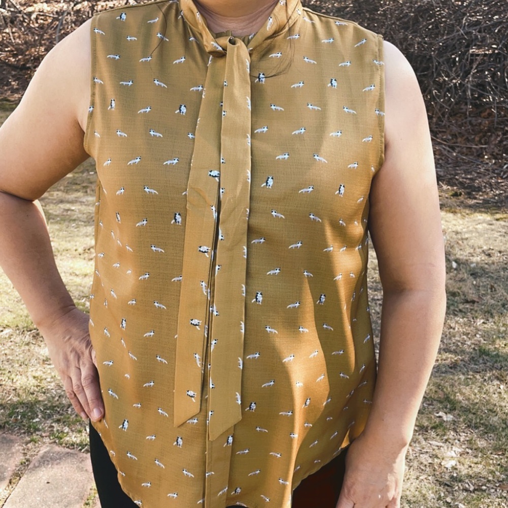 Kitty Blouse